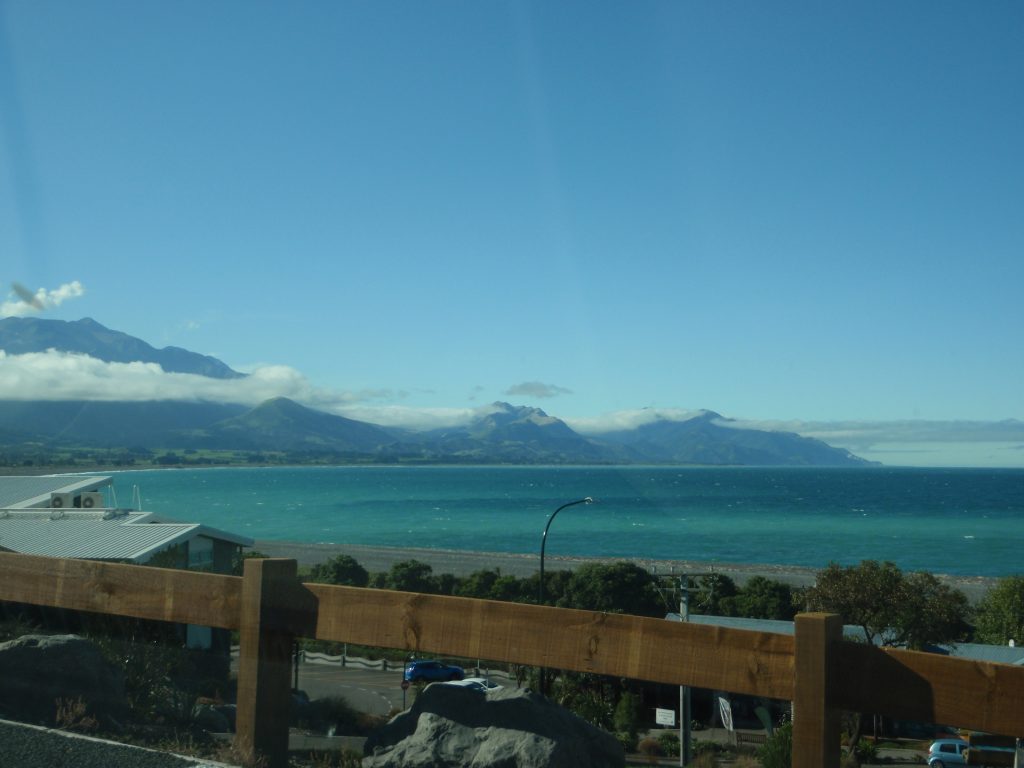 NZ road trip