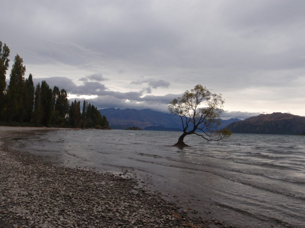 NZ road trip