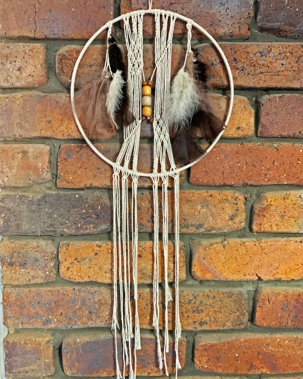 Abstract Natural Element Dream Catcher