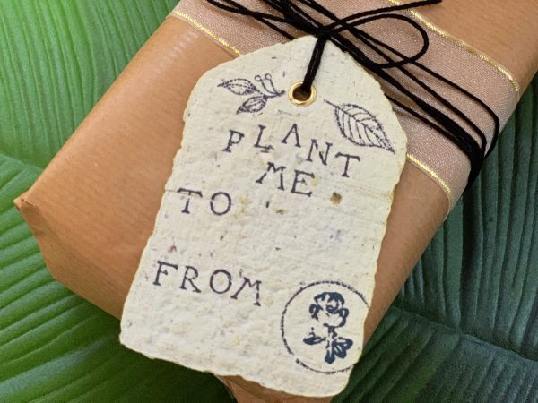 6x Plantable Recycled Paper Gift Tags | Botanical Swing Tags | Sustainable Gift Giving | Wildflowers | Vintage Wrapping | Seeded Tags