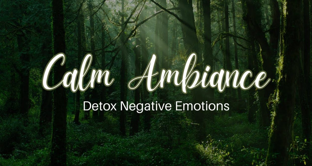 Calm Ambiance, Detox Negative Emotions