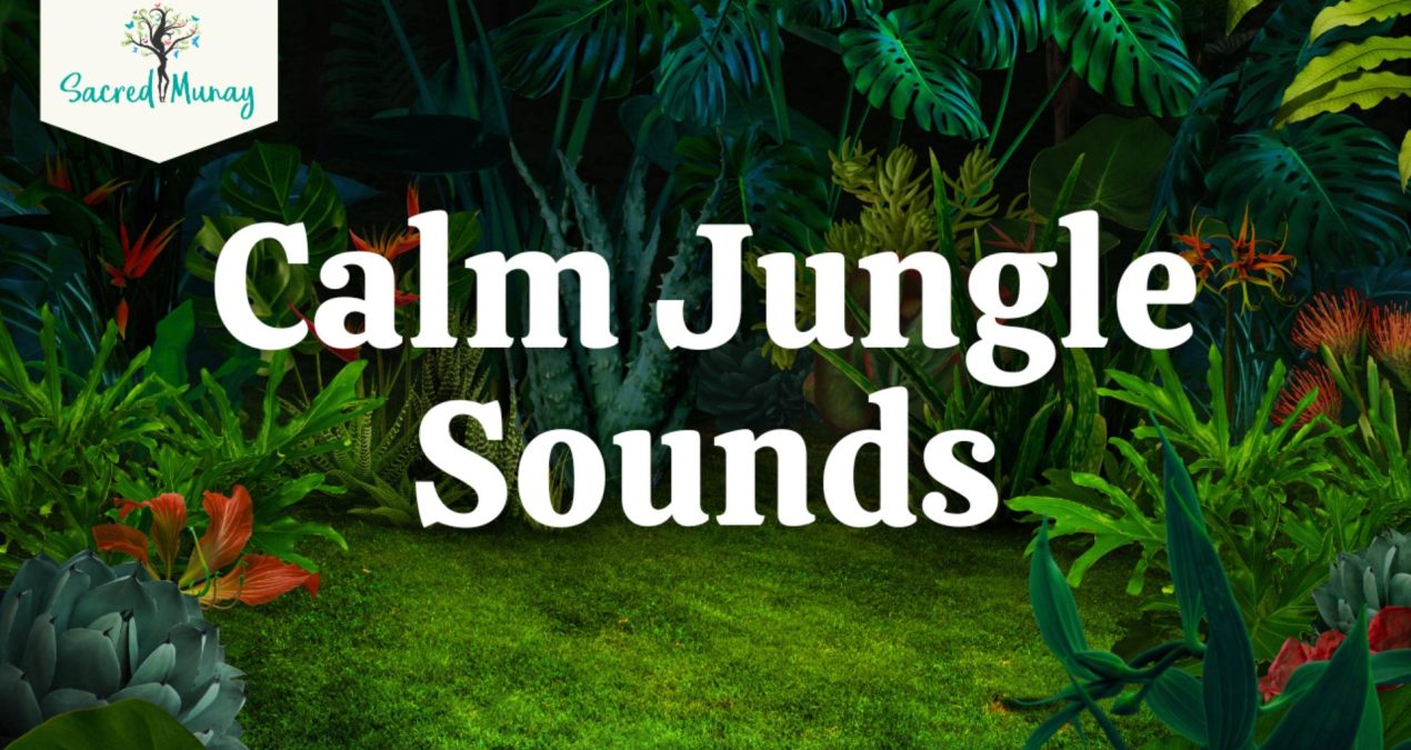 Calm Jungle Sounds – Nature’s Symphony for Stress Relief & Positive Vibes